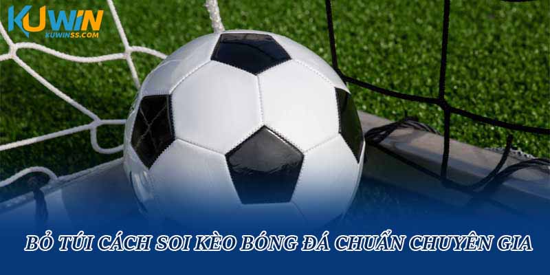 Bỏ túi cách soi kèo bóng đá chuẩn chuyên gia